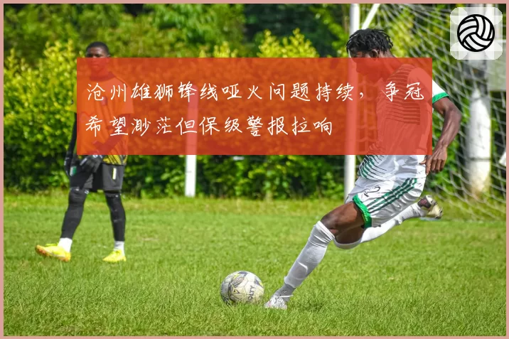 沧州雄狮锋线哑火问题持续,争冠希望渺茫但保级警报拉响