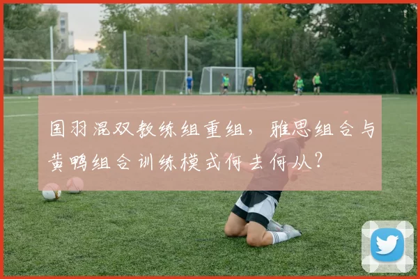 国羽混双教练组重组，雅思组合与黄鸭组合训练模式何去何从？